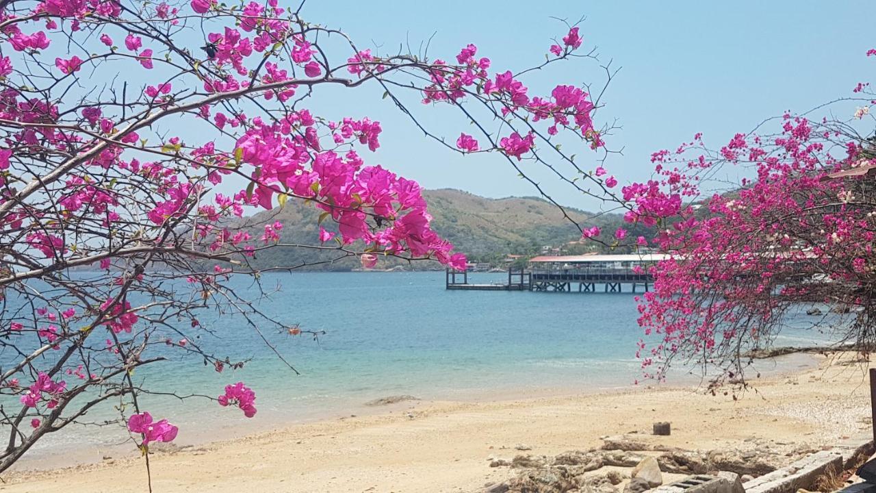 Cerrito Tropical Eco Taboga